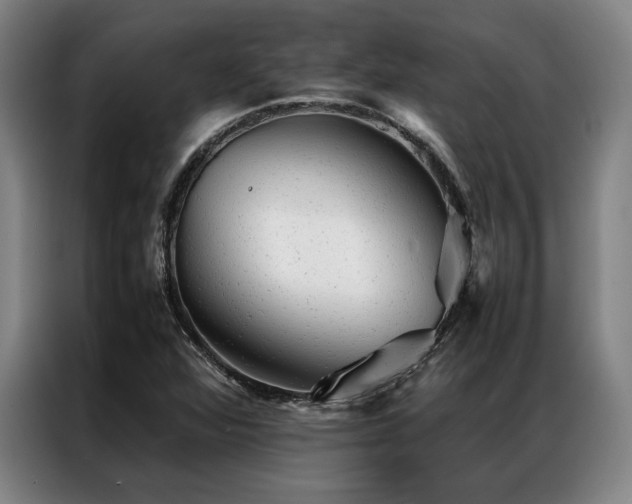 X0000087311360200704201202