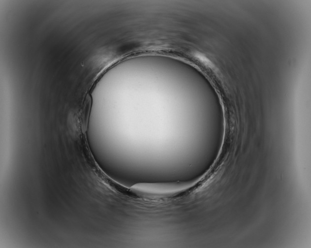 X0000087311361200704201202