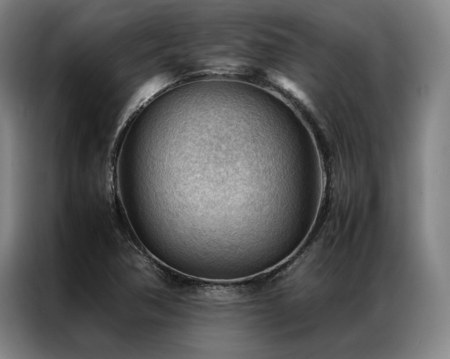 X0000087311362200704201202