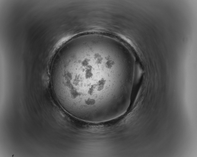 X0000087311363200704201202