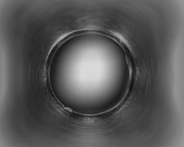 X0000087311364200704201202