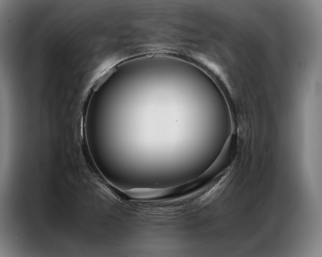 X0000087311365200704201202