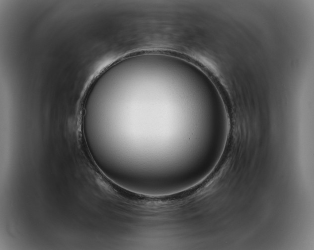 X0000087311366200704201202