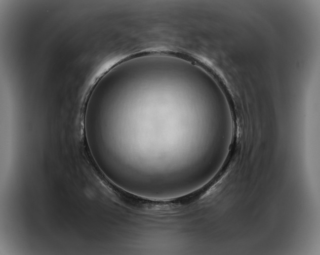 X0000087311367200704201202