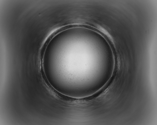 X0000087311368200704201202