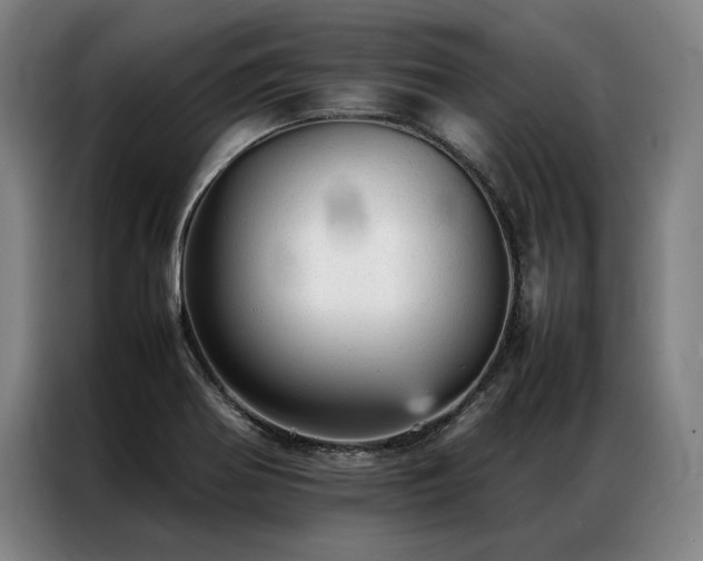 X0000087311370200704201202