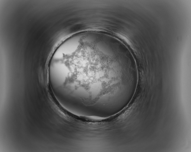 X0000087311371200704201202