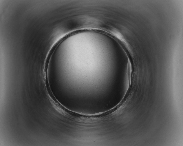 X0000087311372200704201202
