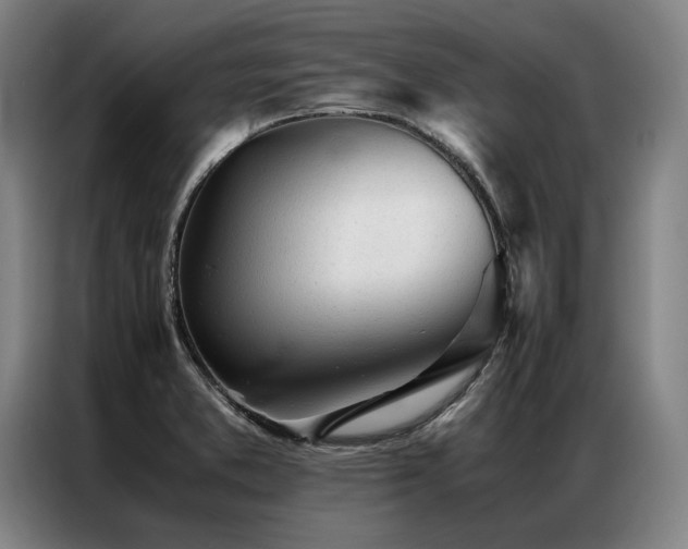 X0000087311373200704201202