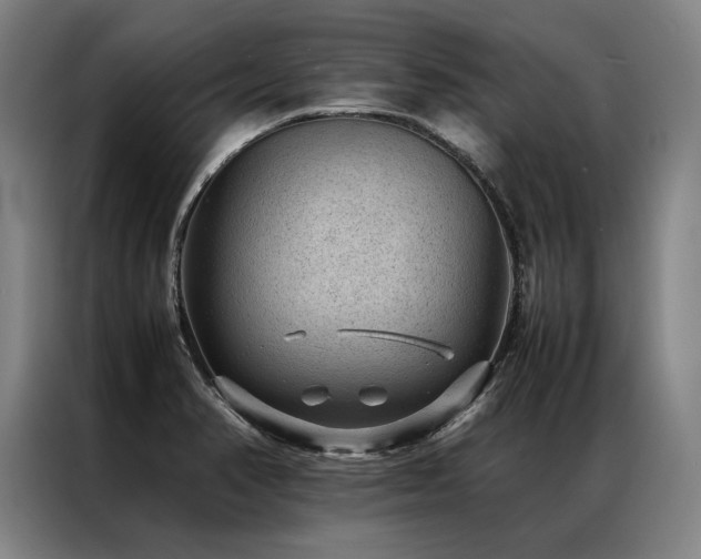 X0000087311374200704201202