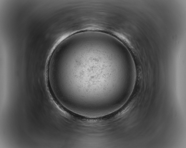 X0000087311375200704201202