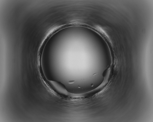 X0000087311376200704201202