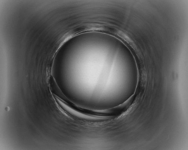X0000087311377200704201202