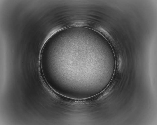 X0000087311378200704201202