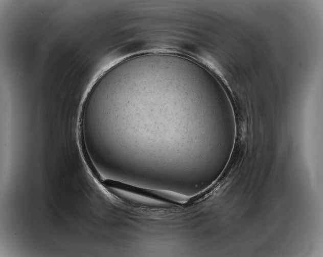 X0000087311379200704201202