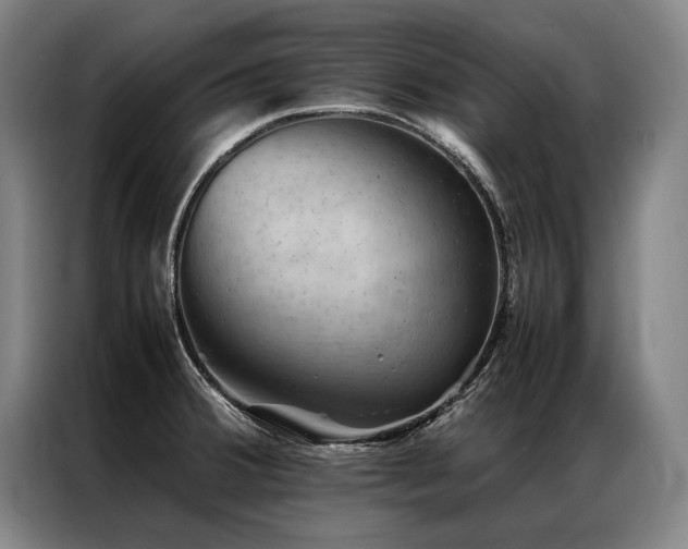 X0000087311380200704201202