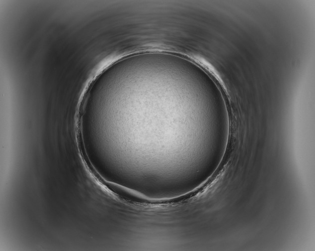 X0000087311381200704201202