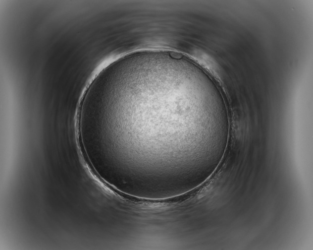 X0000087311382200704201202
