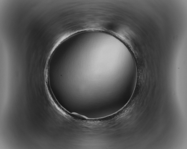 X0000087311383200704201202