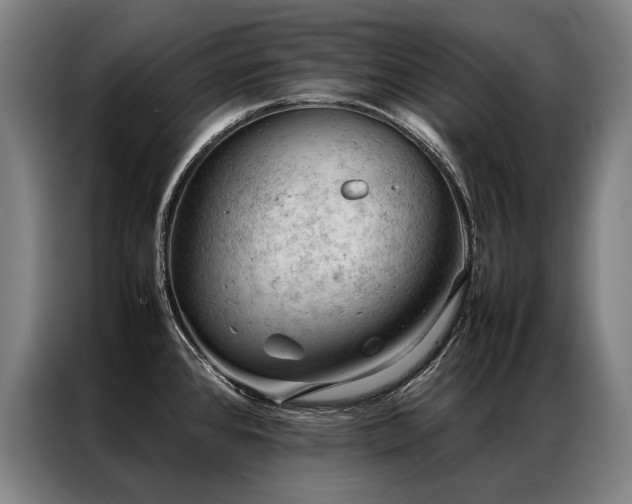 X0000087311384200704201202