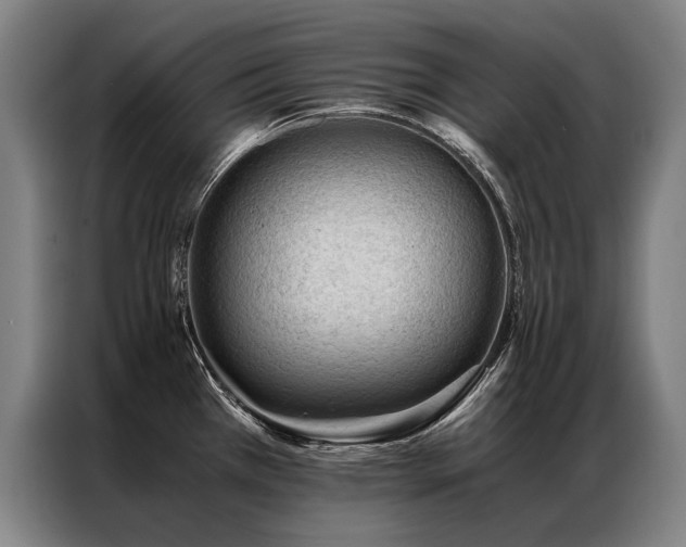 X0000087311385200704201202