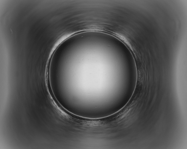 X0000087311387200704201202