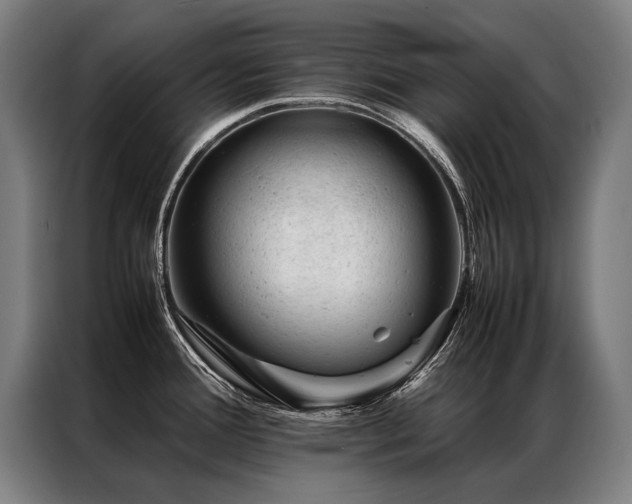 X0000087311388200704201202