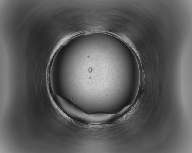X0000087311389200704201202