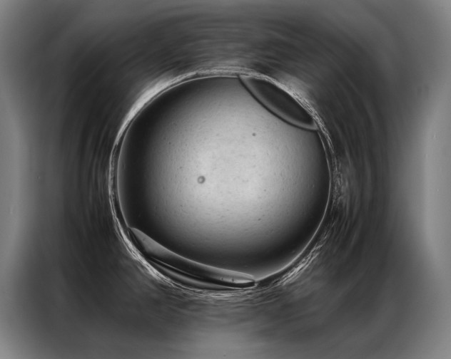 X0000087311390200704201202