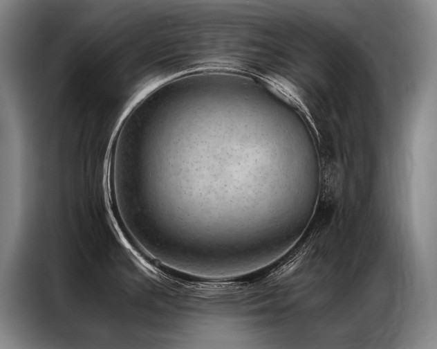 X0000087311391200704201202
