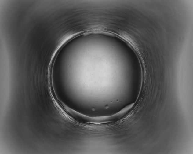 X0000087311392200704201202