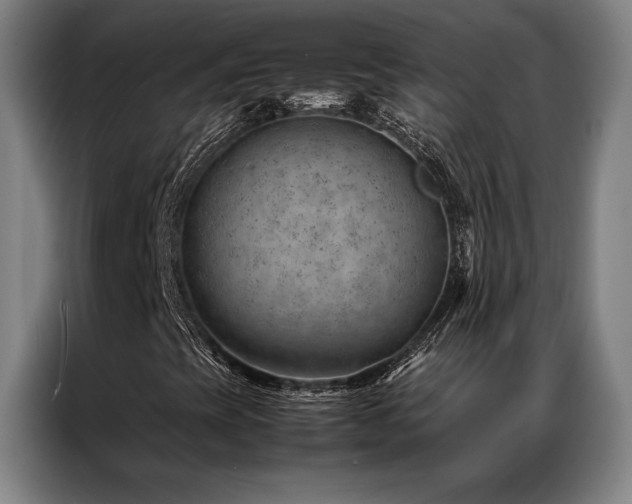 X0000087311393200704201202