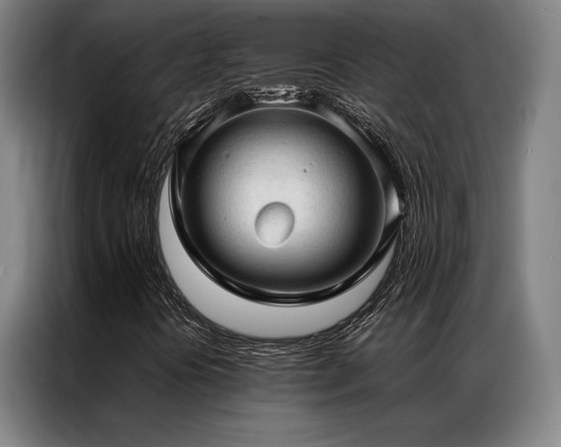 X0000087311394200704201202