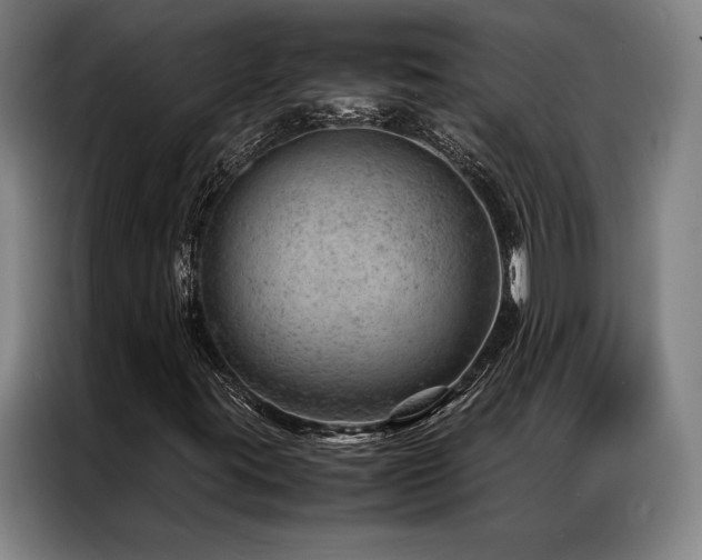 X0000087311395200704201202