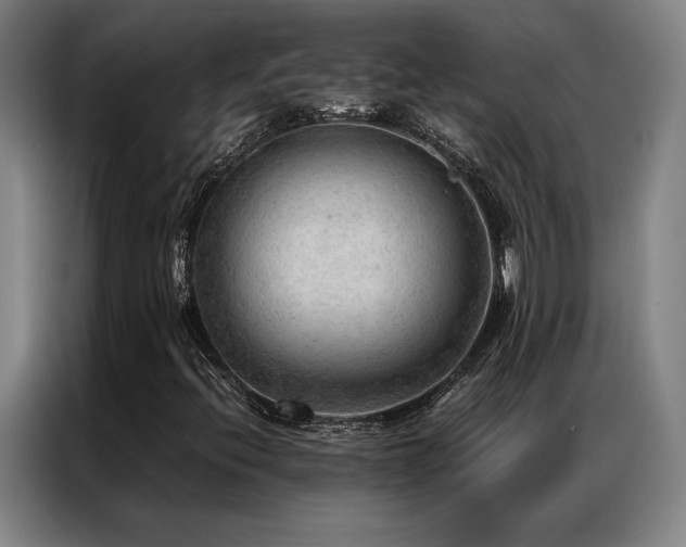 X0000087311396200704201202