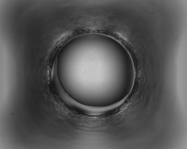 X0000087311398200704201202