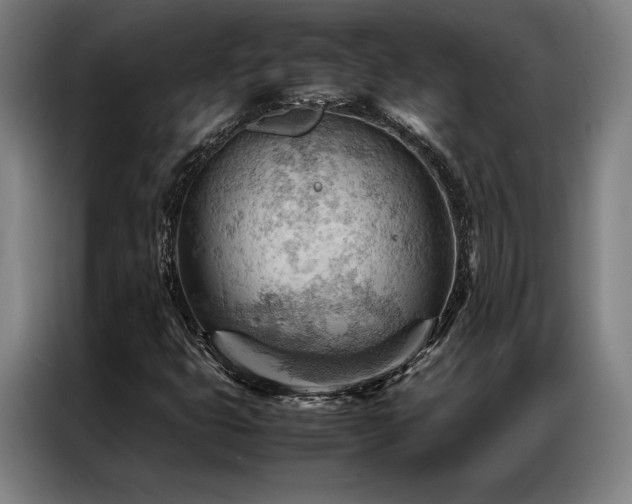 X0000087311399200704201202