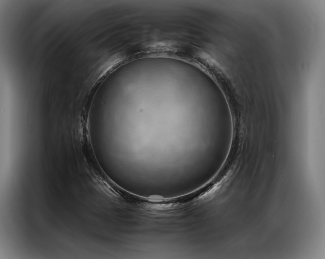 X0000087311401200704201202