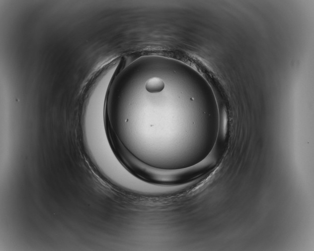 X0000087311402200704201202