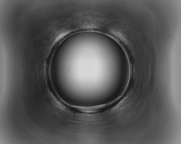 X0000087311404200704201202
