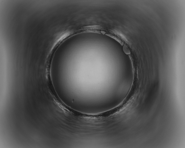 X0000087311405200704201202