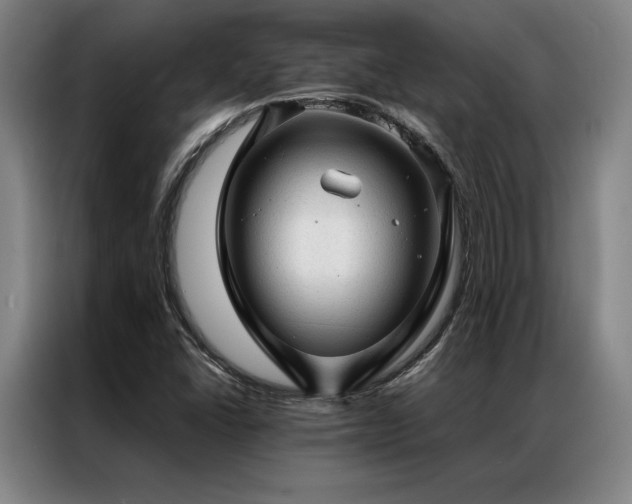 X0000087311406200704201202