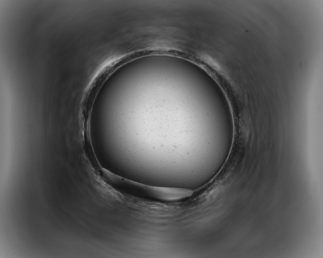 X0000087311408200704201202