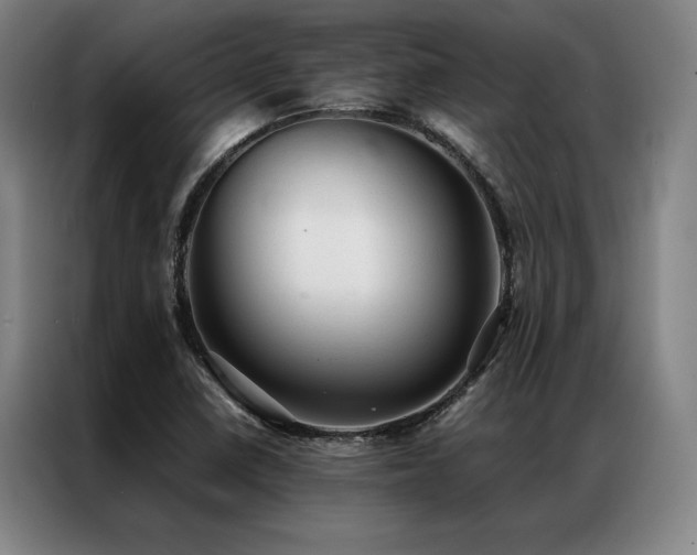 X0000087311410200704201202