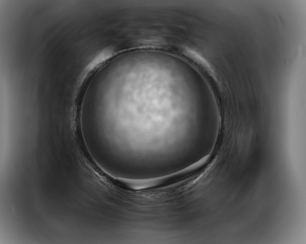 X0000087311411200704201202