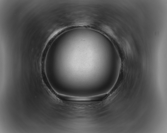 X0000087311412200704201202