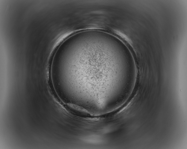 X0000087311415200704201202