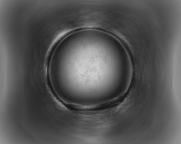X0000087311416200704201202