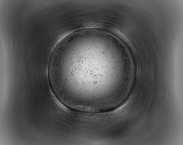 X0000087311417200704201202