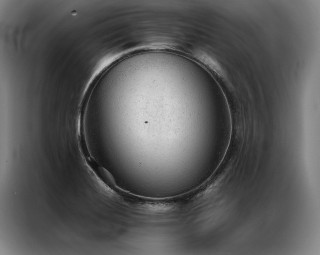 X0000087311420200704201202